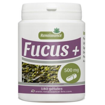 GPH Fucus – 180 gélules – 500 mg
