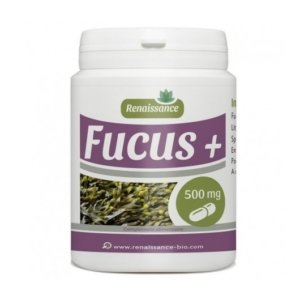 GPH Fucus – 90 gélules – 500 mg