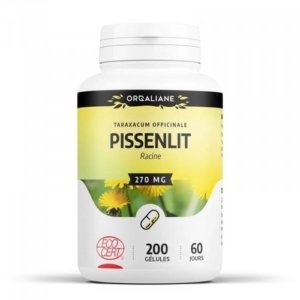 GPH Pissenlit Bio – 200 gélules végétales – 270 mg
